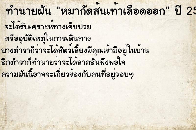 ทำนายฝัน หมากัดส้นเท้าเลือดออก ตำราโบราณ แม่นที่สุดในโลก