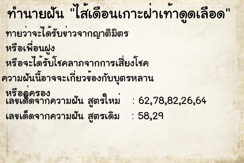 ทำนายฝันทำนายฝันไส้เดือนเกาะฝ่าเท้าดูดเลือด