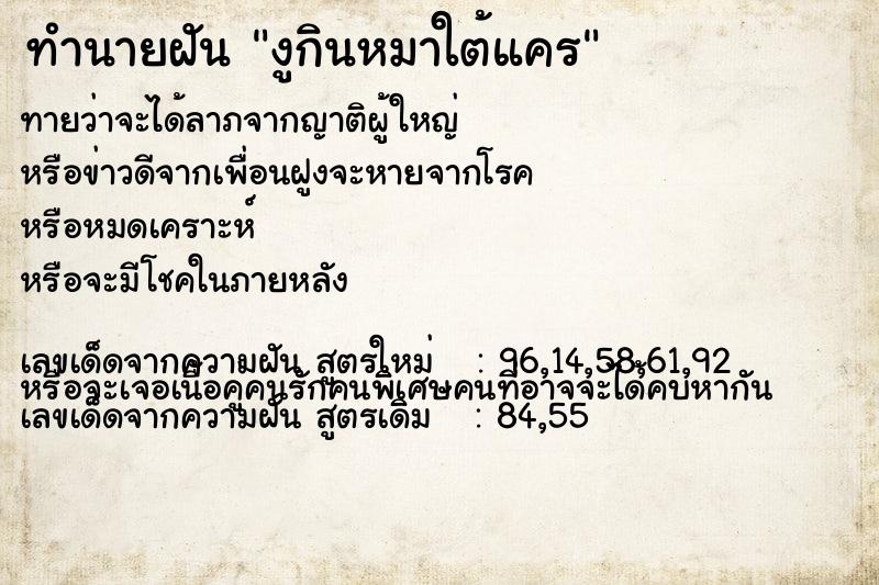 ทำนายฝันทำนายฝันงูกินหมาใต้แคร