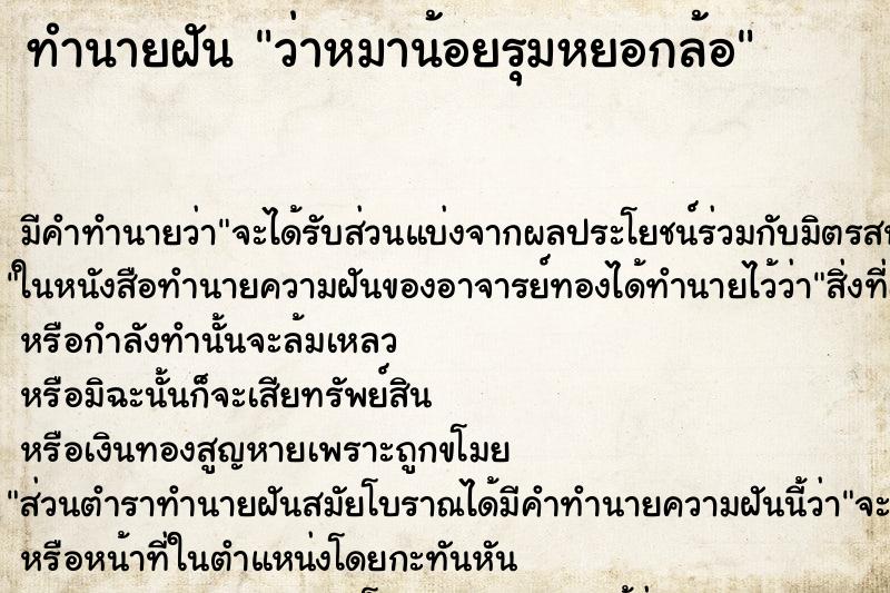 ทำนายฝัน ว่าหมาน้อยรุมหยอกล้อ ทำนายฝัน ว่าหมาน้อยรุมหยอกล้อ