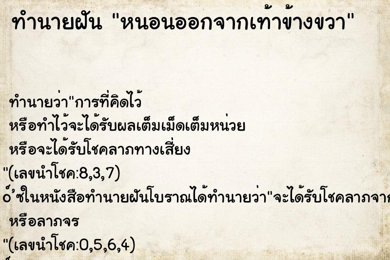 ทำนายฝัน หนอนออกจากเท้าข้างขวา