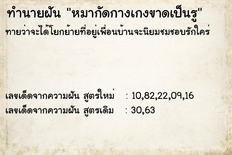 ทำนายฝันทำนายฝันหมากัดกางเกงขาดเป็นรู