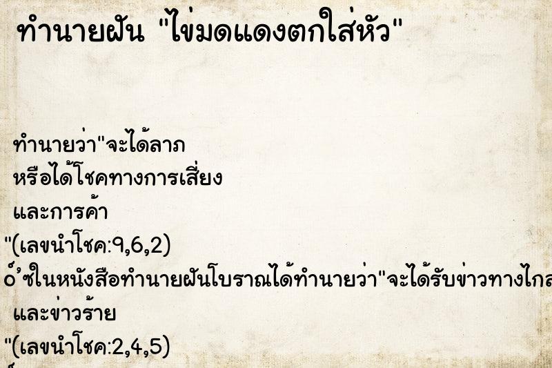 ทำนายฝันทำนายฝันไข่มดแดงตกใส่หัว