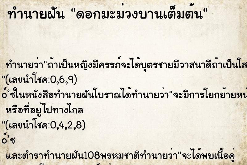ทำนายฝันทำนายฝันดอกมะม่วงบานเต็มต้น