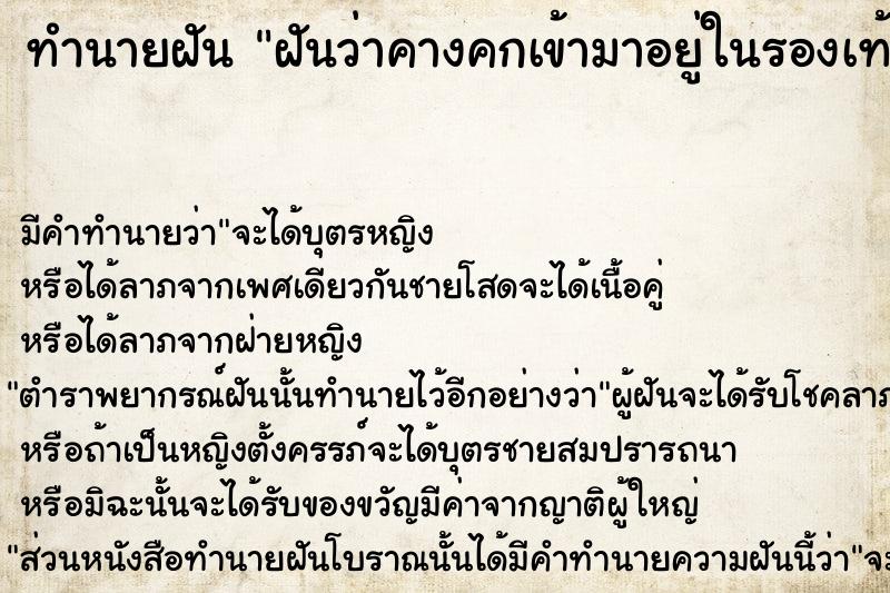 ทำนายฝัน ฝันว่าคางคกเข้ามาอยู่ในรองเท้า ทำนายฝัน ฝันว่าคางคกเข้ามาอยู่ในรองเท้า