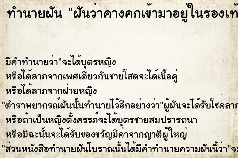 ทำนายฝัน ฝันว่าคางคกเข้ามาอยู่ในรองเท้า ตำราโบราณ แม่นที่สุดในโลก