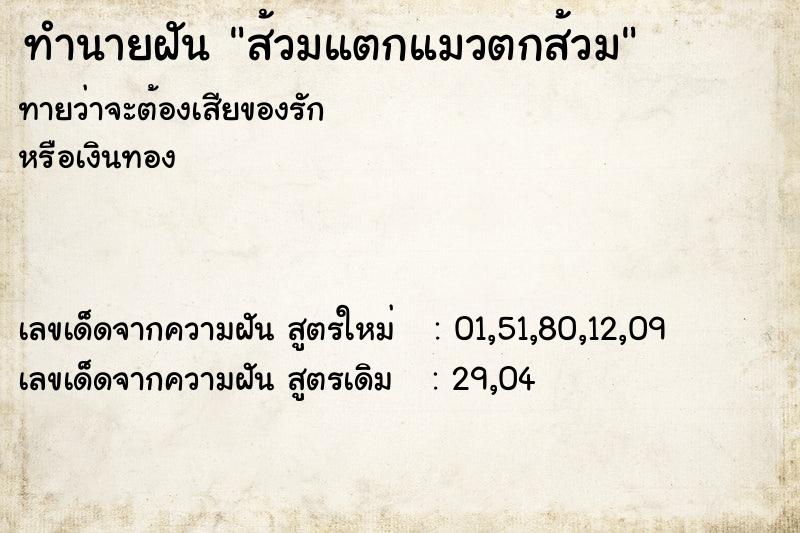 ทำนายฝันส้วมแตกแมวตกส้วม ทำนายฝันทำนายฝันส้วมแตกแมวตกส้วม