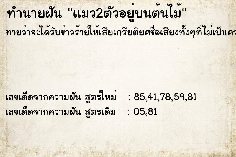 ทำนายฝัน แมว2ตัวอยู่บนต้นไม้ ทำนายฝัน แมว2ตัวอยู่บนต้นไม้