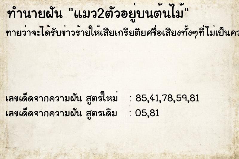 ทำนายฝัน แมว2ตัวอยู่บนต้นไม้ ตำราโบราณ แม่นที่สุดในโลก