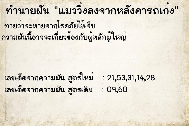 ทำนายฝันทำนายฝันแมววิ่งลงจากหลังคารถเก๋ง