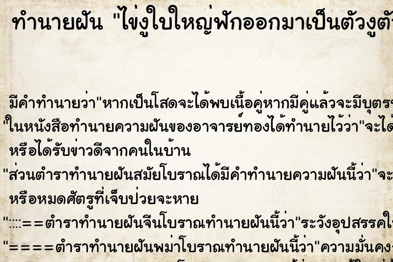 ทำนายฝันไข่งูใบใหญ่ฟักออกมาเป็นตัวงูตัวใหญ่มาก ทำนายฝันทำนายฝันไข่งูใบใหญ่ฟักออกมาเป็นตัวงูตัวใหญ่มาก