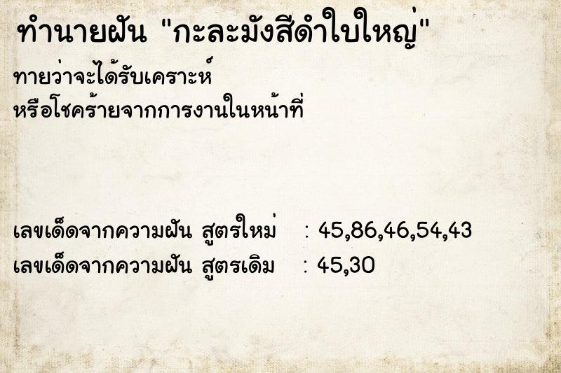 ทำนายฝัน กะละมังสีดำใบใหญ่ แม่นๆ ฟรี ด้วยตำราหนังสือทำนายฝันโบราณ ทำนายฝันกะละมังสีดำใบใหญ่