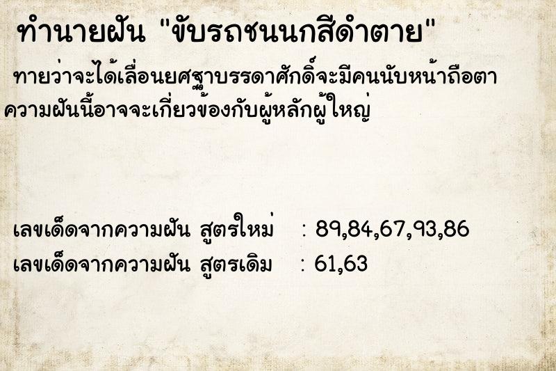 ทำนายฝันขับรถชนนกสีดำตาย ทำนายฝันทำนายฝันขับรถชนนกสีดำตาย