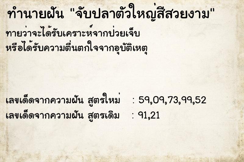 ทำนายฝันจับปลาตัวใหญ่สีสวยงาม ทำนายฝันทำนายฝันจับปลาตัวใหญ่สีสวยงาม