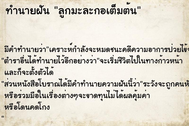 ทำนายฝันลูกมะละกอเต็มต้น ทำนายฝันทำนายฝันลูกมะละกอเต็มต้น