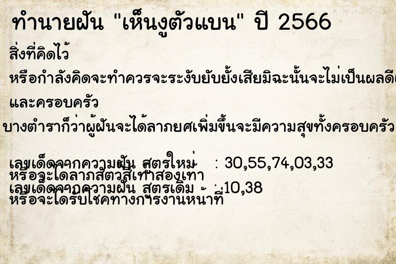 ทำนายฝัน เห็นงูตัวแบน ทำนายฝัน เห็นงูตัวแบน