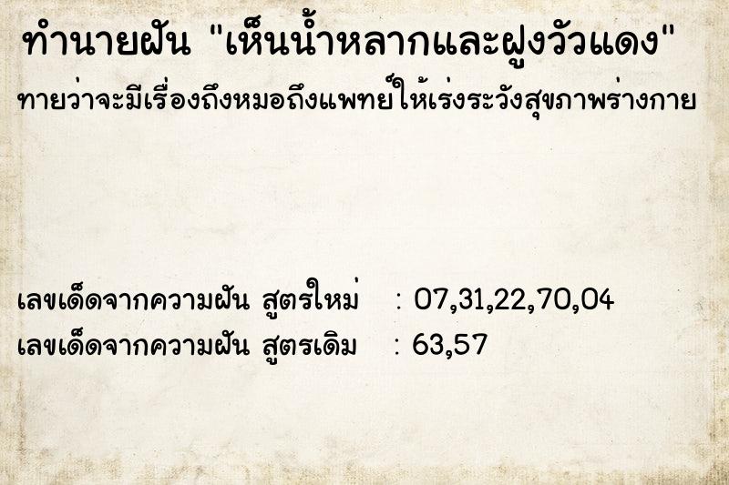 ทำนายฝันทำนายฝันเห็นน้ำหลากและฝูงวัวแดง