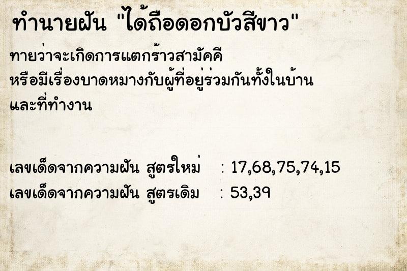 ทำนายฝันทำนายฝันได้ถือดอกบัวสีขาว