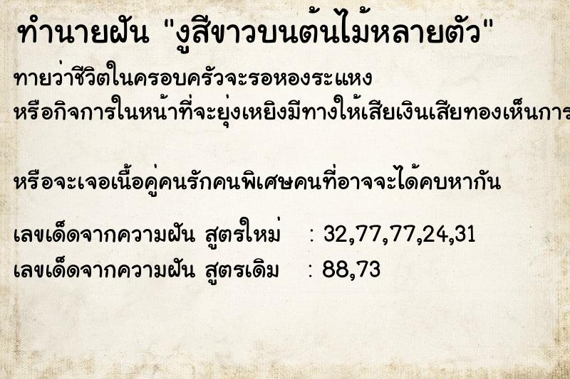 ทำนายฝัน งูสีขาวบนต้นไม้หลายตัว ทำนายฝัน งูสีขาวบนต้นไม้หลายตัว