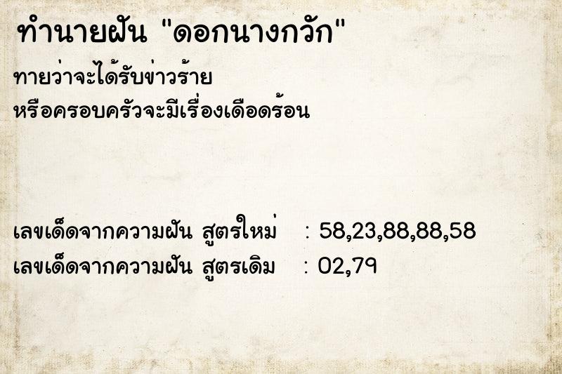 ทำนายฝัน ดอกนางกวัก ทำนายฝัน ดอกนางกวัก