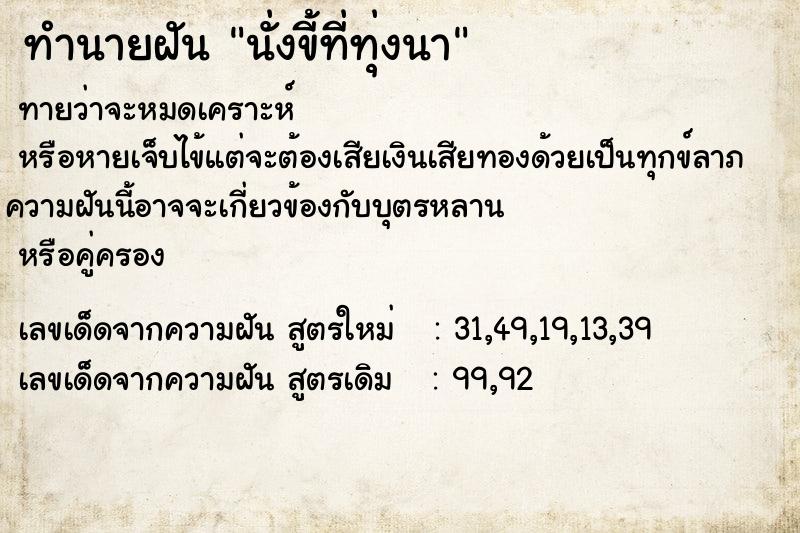 ทำนายฝันนั่งขี้ที่ทุ่งนา ทำนายฝันทำนายฝันนั่งขี้ที่ทุ่งนา