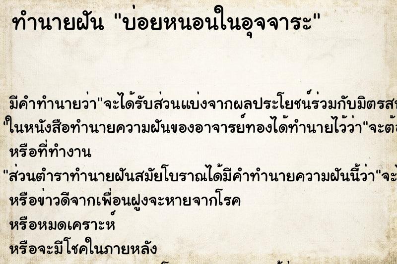 ทำนายฝันทำนายฝันบ่อยหนอนในอุจจาระ