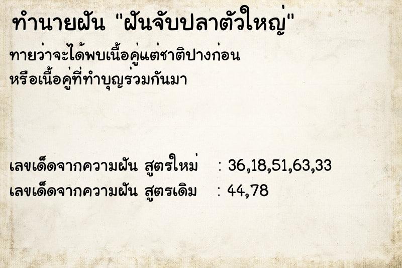 ทำนายฝันทำนายฝันฝันจับปลาตัวใหญ่