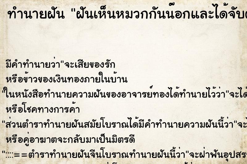 ทำนายฝันฝันเห็นหมวกกันน๊อกและได้จับต้อง ทำนายฝันทำนายฝันฝันเห็นหมวกกันน๊อกและได้จับต้อง