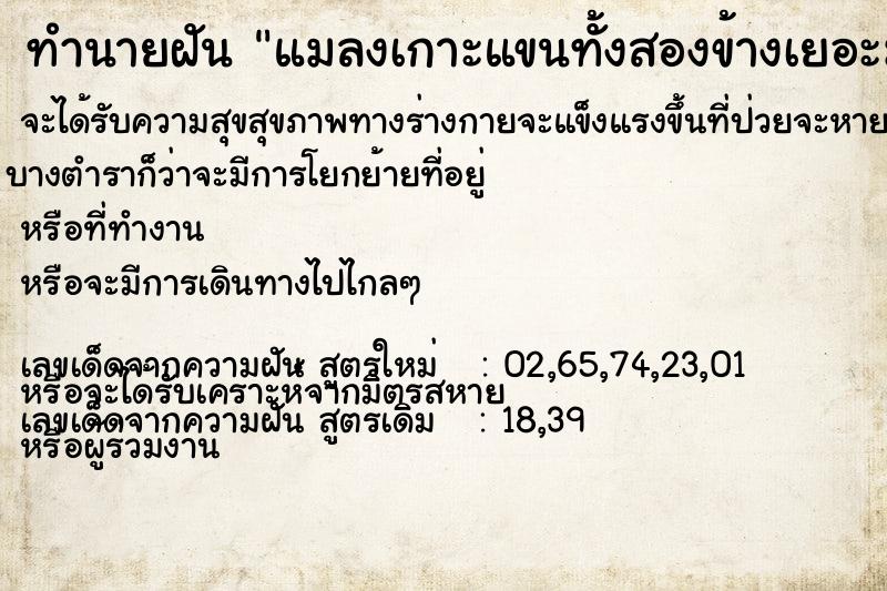 ทำนายฝัน แมลงเกาะแขนทั้งสองข้างเยอะมาก ทำนายฝัน แมลงเกาะแขนทั้งสองข้างเยอะมาก