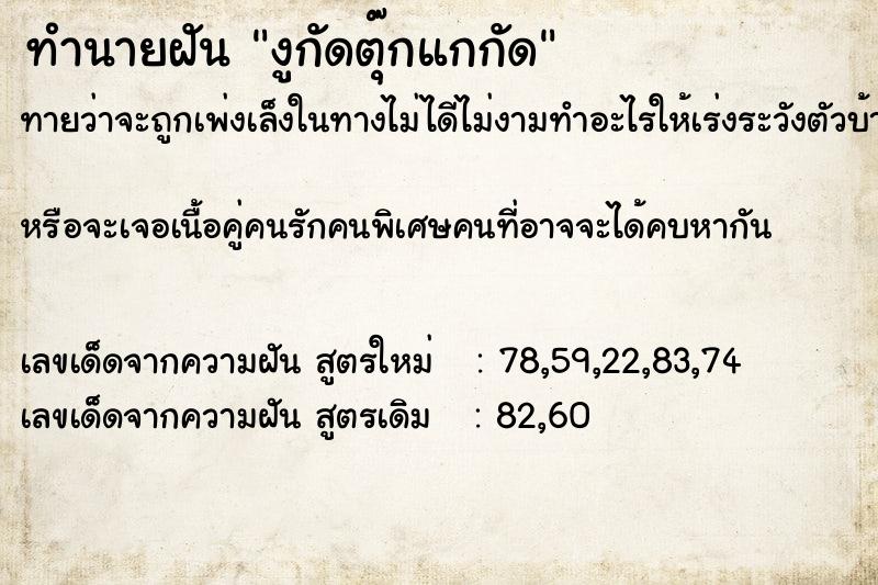 ทำนายฝันงูกัดตุ๊กแกกัด ทำนายฝันทำนายฝันงูกัดตุ๊กแกกัด