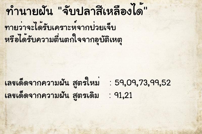 ทำนายฝันจับปลาสีเหลืองได้ ทำนายฝันทำนายฝันจับปลาสีเหลืองได้