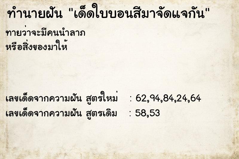 ทำนายฝัน เด็ดใบบอนสีมาจัดแจกัน ทำนายฝัน เด็ดใบบอนสีมาจัดแจกัน