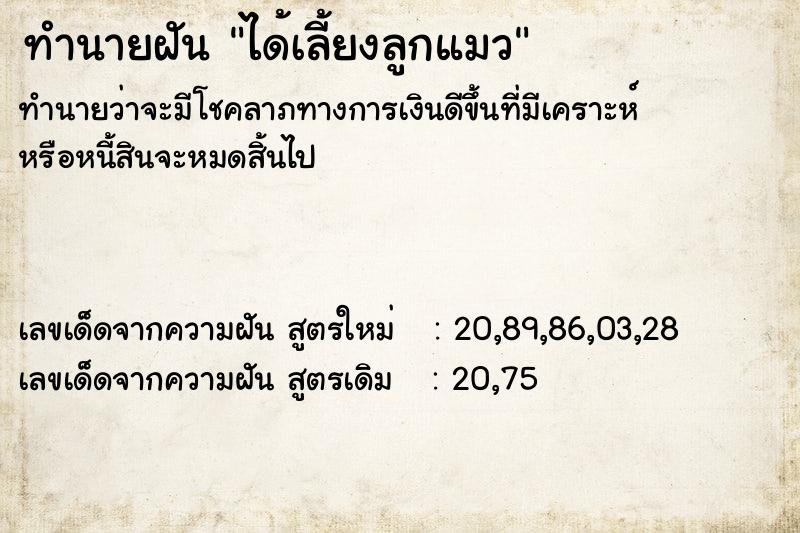 ทำนายฝันทำนายฝันได้เลี้ยงลูกแมว