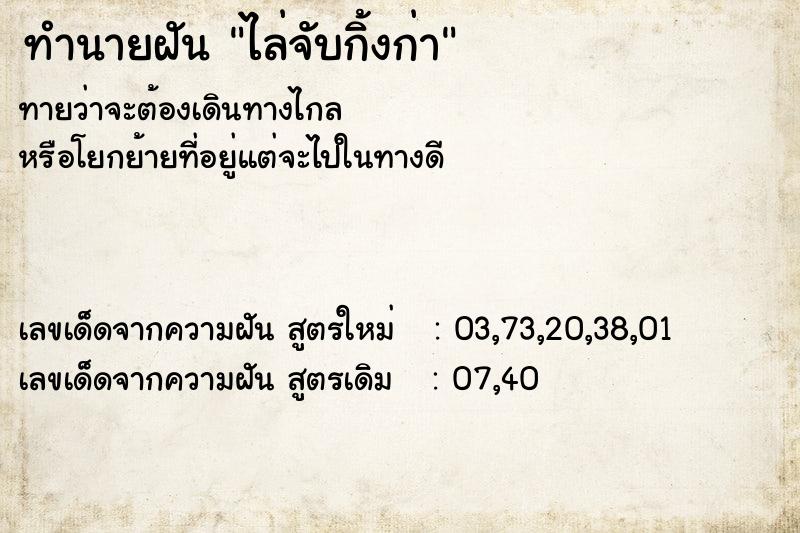 ทำนายฝันทำนายฝันไล่จับกิ้งก่า