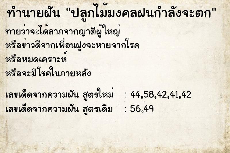 ทำนายฝันปลูกไม้มงคลฝนกำลังจะตก ทำนายฝันทำนายฝันปลูกไม้มงคลฝนกำลังจะตก