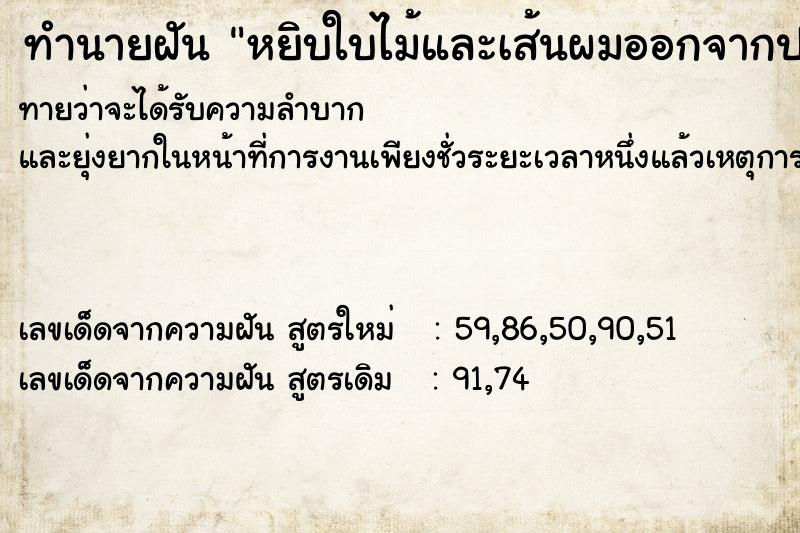 ทำนายฝันทำนายฝันหยิบใบไม้และเส้นผมออกจากปาก