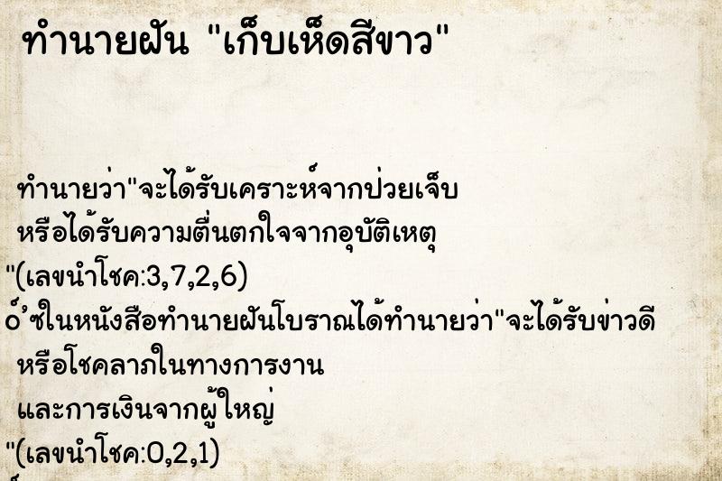 ทำนายฝันเก็บเห็ดสีขาว ทำนายฝันทำนายฝันเก็บเห็ดสีขาว