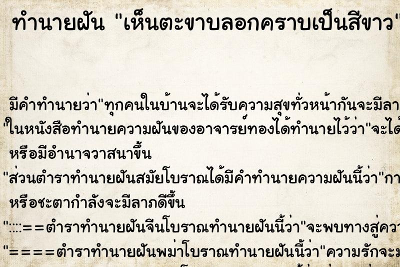 ทำนายฝัน เห็นตะขาบลอกคราบเป็นสีขาว ทำนายฝัน เห็นตะขาบลอกคราบเป็นสีขาว