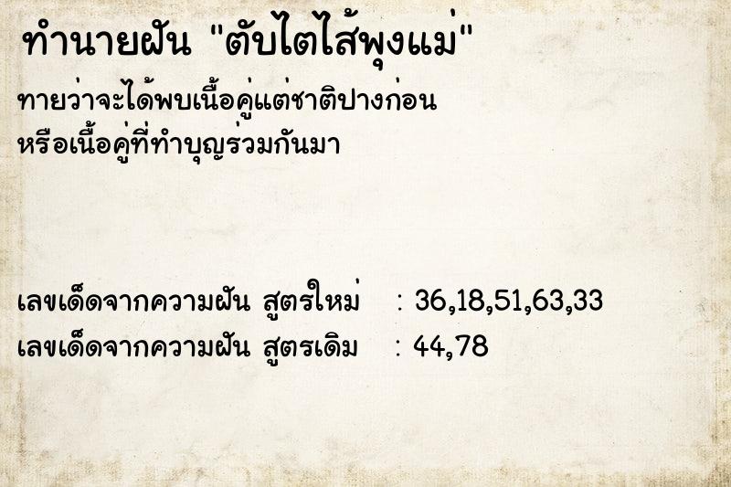 ทำนายฝันทำนายฝันตับไตไส้พุงแม่