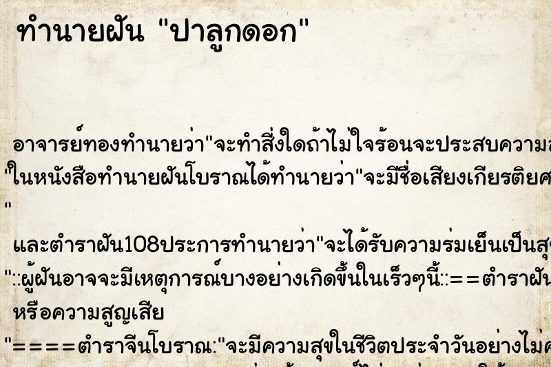 ทำนายฝัน ปาลูกดอก ทำนายฝัน ปาลูกดอก