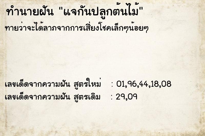 ทำนายฝันทำนายฝันแจกันปลูกต้นไม้