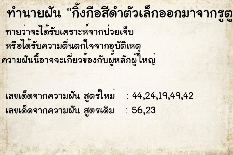 ทำนายฝันกิ้งกือสีดำตัวเล็กออกมาจากรูตูดลูกสาว ทำนายฝันทำนายฝันกิ้งกือสีดำตัวเล็กออกมาจากรูตูดลูกสาว
