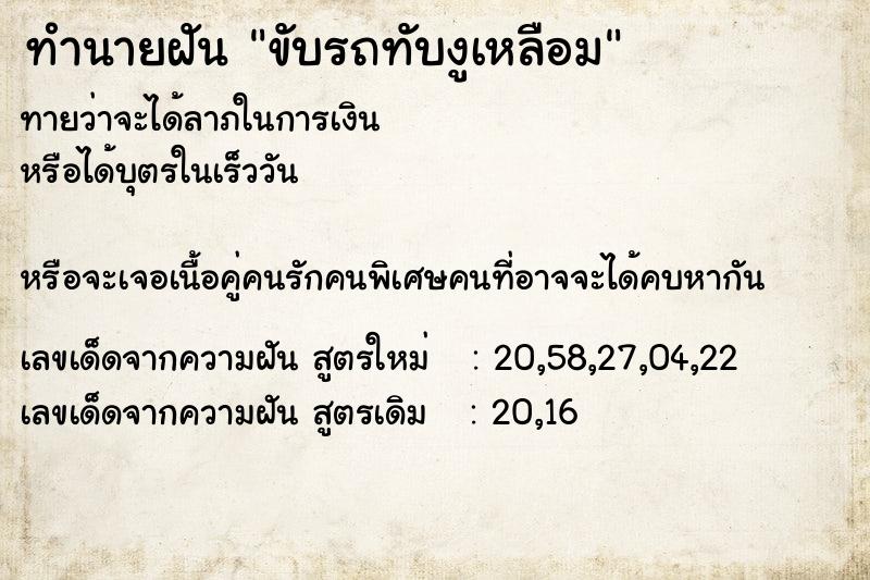 ทำนายฝันขับรถทับงูเหลือม ทำนายฝันทำนายฝันขับรถทับงูเหลือม