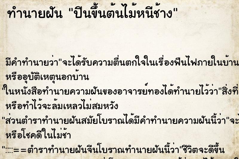 ทำนายฝัน ปีนขึ้นต้นไม้หนีช้าง แม่นๆ ฟรี ด้วยตำราหนังสือทำนายฝันโบราณ ทำนายฝันปีนขึ้นต้นไม้หนีช้าง