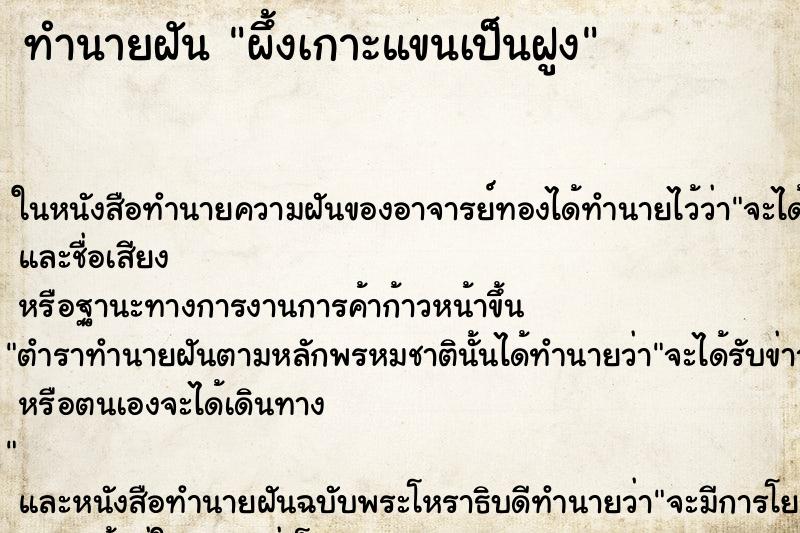 ทำนายฝัน ผึ้งเกาะแขนเป็นฝูง ทำนายฝัน ผึ้งเกาะแขนเป็นฝูง