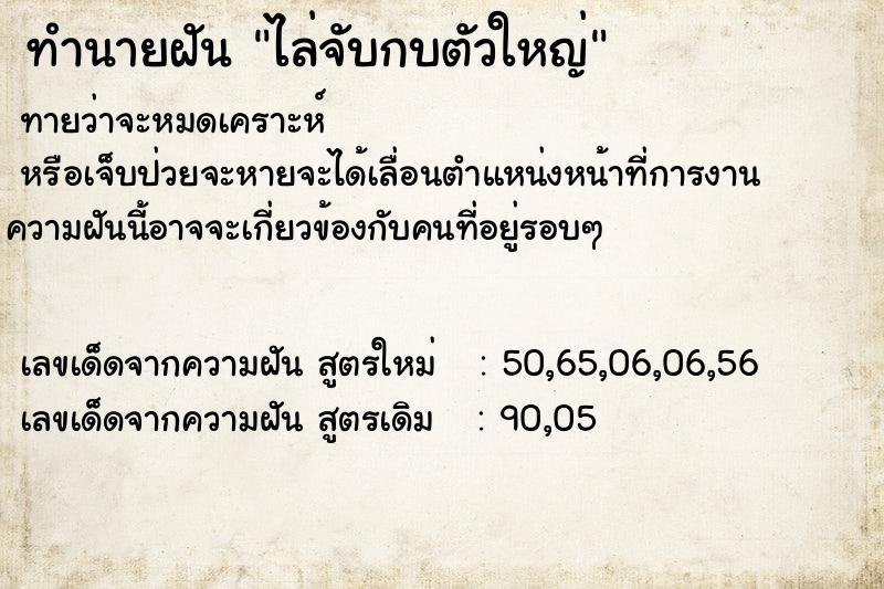 ทำนายฝันทำนายฝันไล่จับกบตัวใหญ่