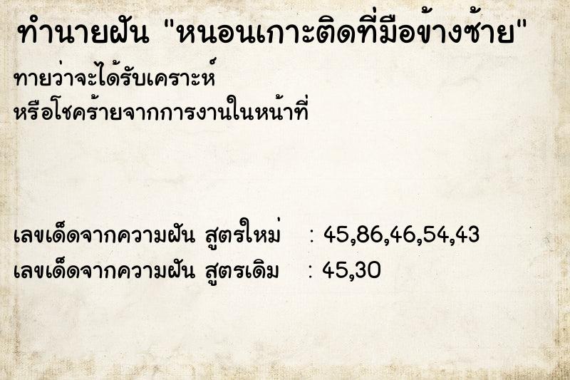 ทำนายฝันหนอนเกาะติดที่มือข้างซ้าย ทำนายฝันทำนายฝันหนอนเกาะติดที่มือข้างซ้าย