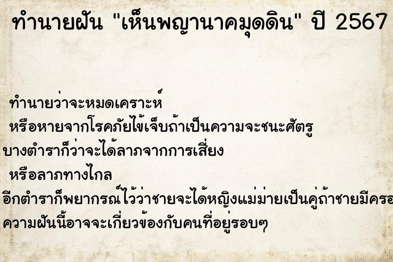 ทำนายฝันเห็นพญานาคมุดดิน ทำนายฝันทำนายฝันเห็นพญานาคมุดดิน