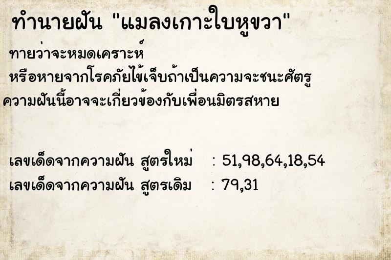 ทำนายฝัน แมลงเกาะใบหูขวา ทำนายฝัน แมลงเกาะใบหูขวา