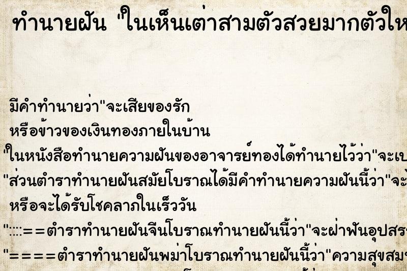ทำนายฝัน ในเห็นเต่าสามตัวสวยมากตัวใหญ่ ทำนายฝัน ในเห็นเต่าสามตัวสวยมากตัวใหญ่